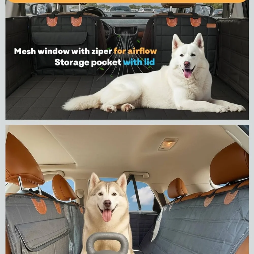 Black Dog Carrier